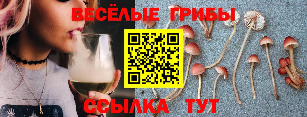 Псилоцибиновые грибы Cubensis  Вход с VPN  Сертолово 