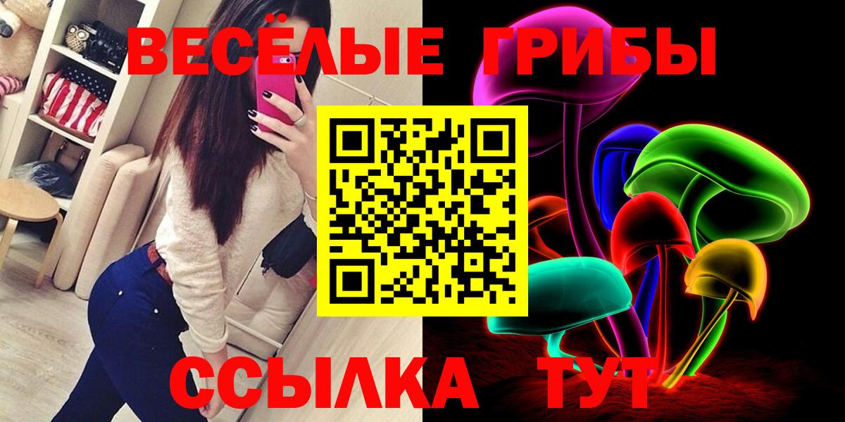 Псилоцибиновые грибы GOLDEN TEACHER Сертолово
